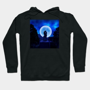 A boy and a girl are standing and making love in the moonlight. Hoodie